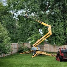 Best Leaf Removal  in Orange Grove, TX